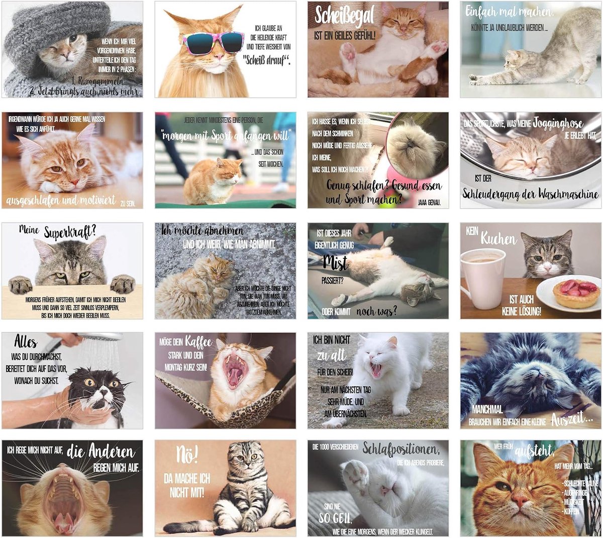 Ansichtkaarten met grappige spreuken - kaarten met spreuk - gekke katten - verjaardag - motivatie (20 kaarten)