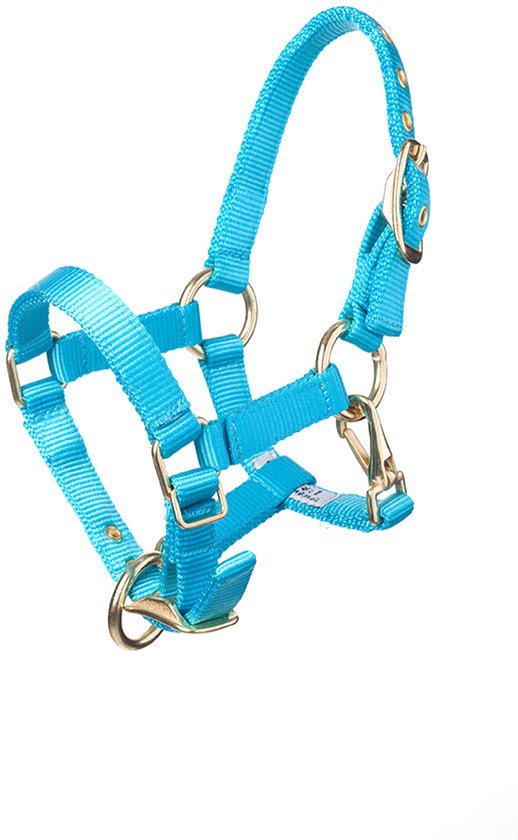 Felblauw halster met gouden gespen en karabijnhaak.