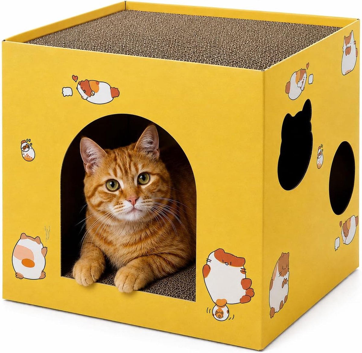 & Moustache - Speelbox voor katten met 2 geïntegreerde krabpalen – huis van robuust karton – krabpaal boven en binnen – interactief speelgoed voor katten binnenshuis