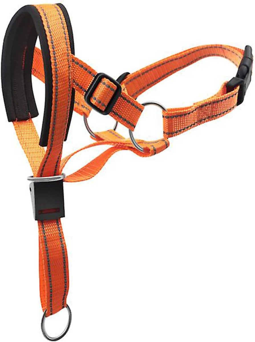 1 stuks verstelbare halsband, halterhalsband - gemakkelijk te bedienen voor training, middelgrote en grote honden (oranje)
