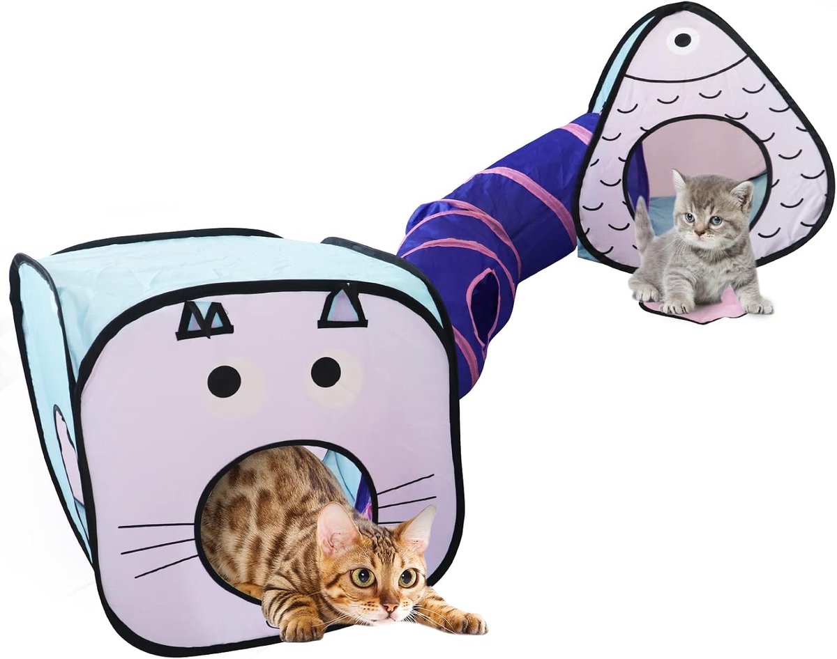Kattenspeelgoedtunnel en kubusbundel - interactieve kreukel-opvouwbare kattenbuis en opvouwbare kubussen, speelplaats voor katten, konijnen, puppy's, fretten, verbergen jagen en rusten