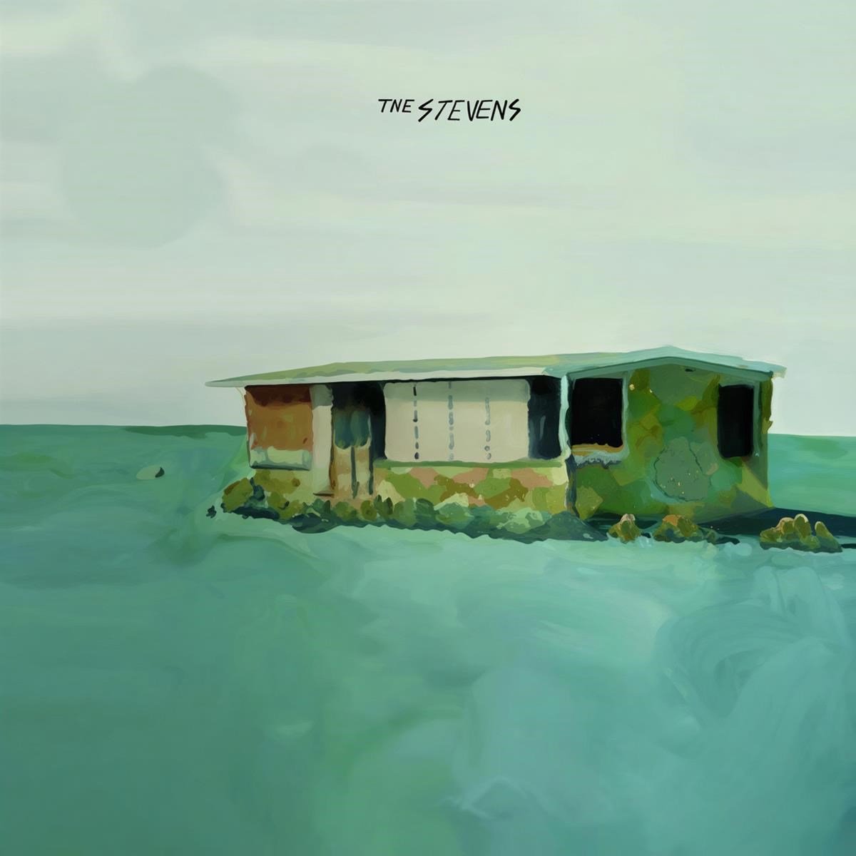 Stevens - The Stevens (7" Single)