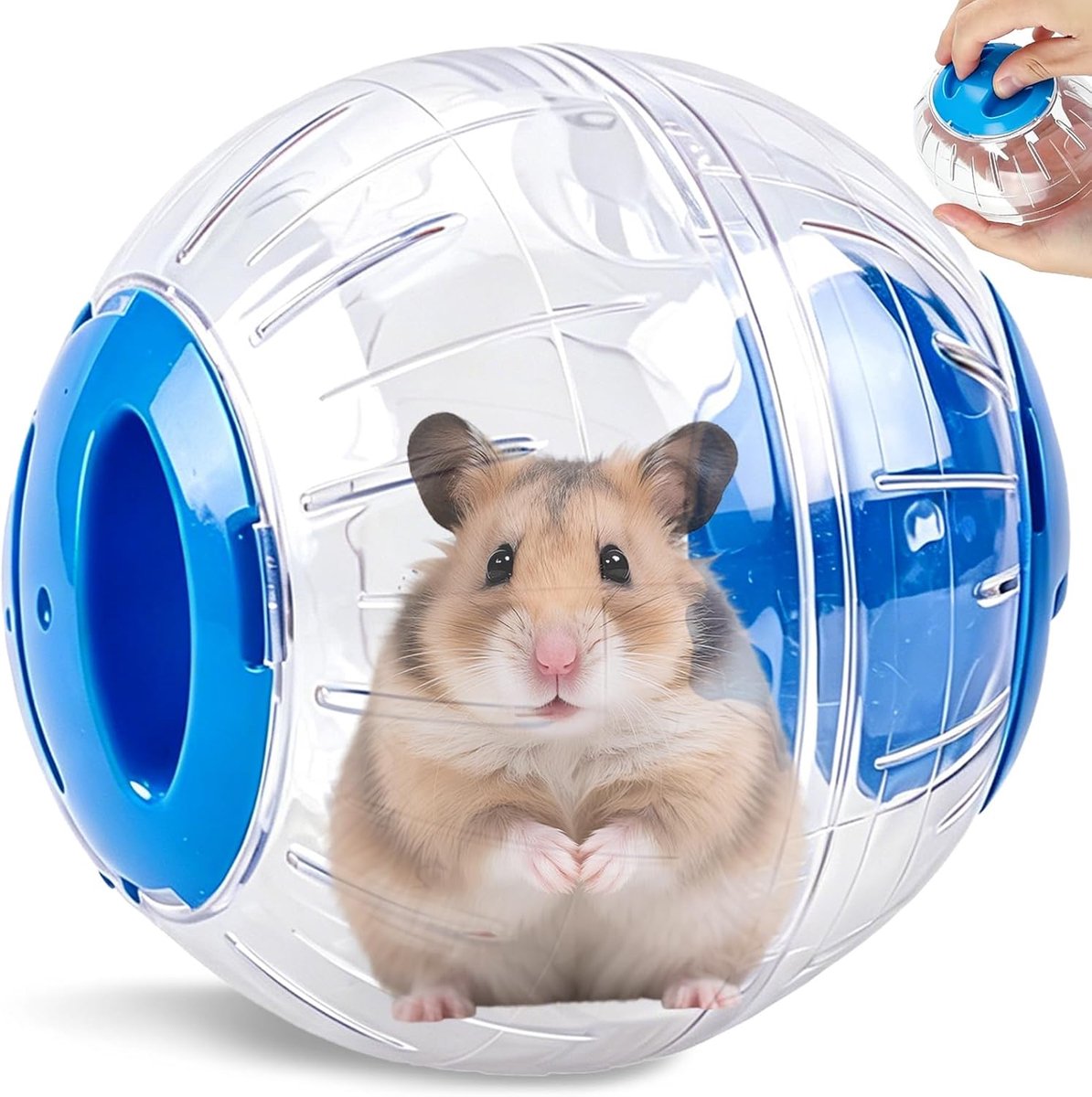 12 cm Plastic Fitnessbal Voor Hamsters Doorzeefde Gerbilbal Transparant Stil Kleine Benodigdheden Huisdieren Sportartikelen Voor Kleine Dieren Binnen En Buitenspeelgoed (Blauw)