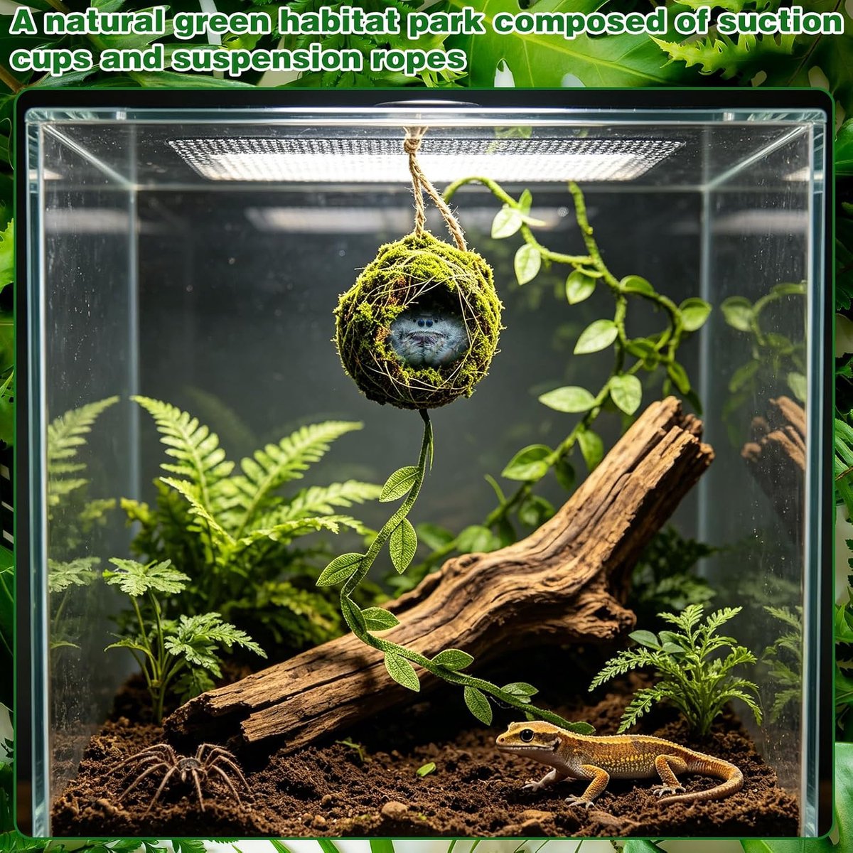 2Stk Mos Schuilplaats Accessoire voor Springspin en Gekko, Terrarium met Ophangband & Kleefhaken, Handgemaakte Natuurlijke Schuilplek met Rank, Leuke Habitat voor Klimmende