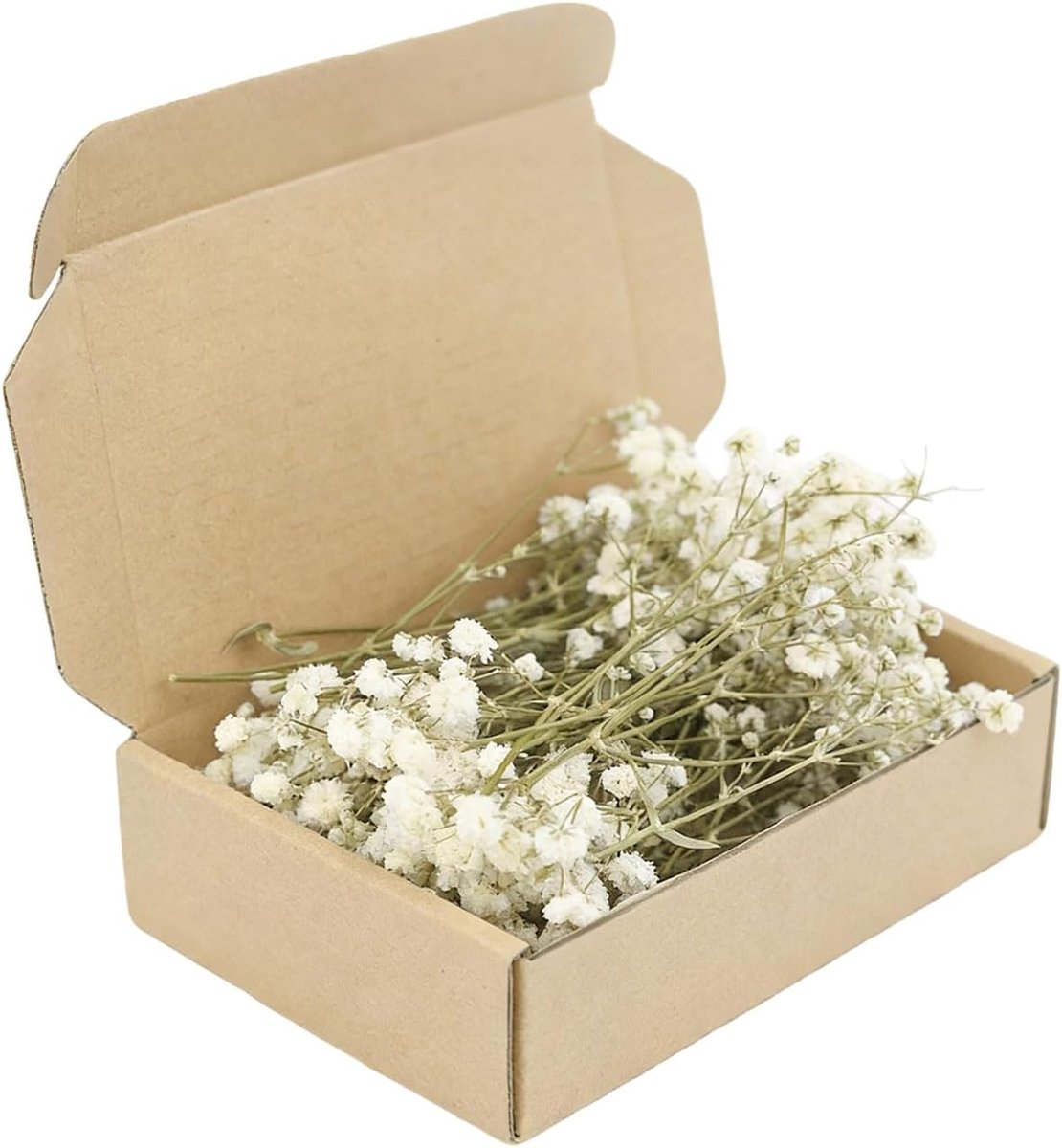 Gedroogde Gipskruid Wit, 150 Stuks Droogbloemen Gipskruid Mini Natuurlijke