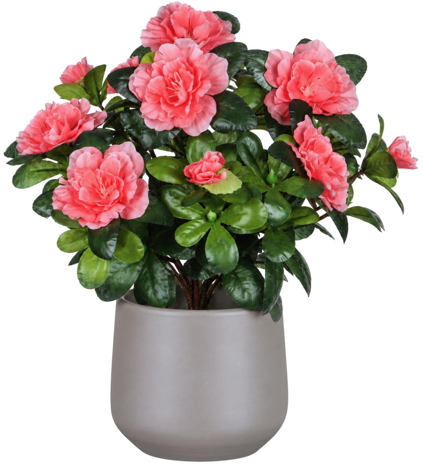 Mica Decorations Kunstplant - Azalea roze - H27 cm - in beige bloempot - keramiek - complete set van pot en plant - decoratie stuk