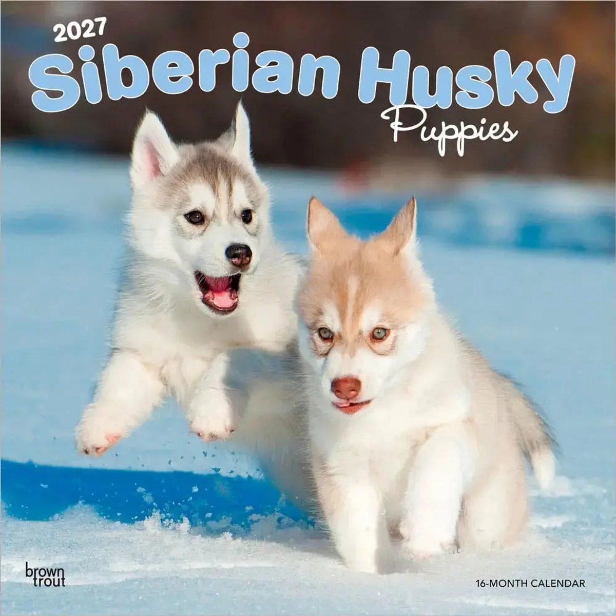 Siberian Husky Puppies Kalender 2027
