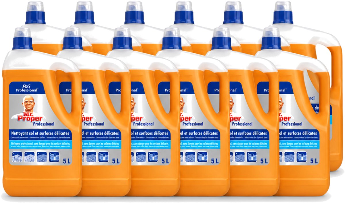 12 x Mr. Proper – Allesreiniger – Professional Delicate – 5 L - Voordeelverpakking - 12 stuks