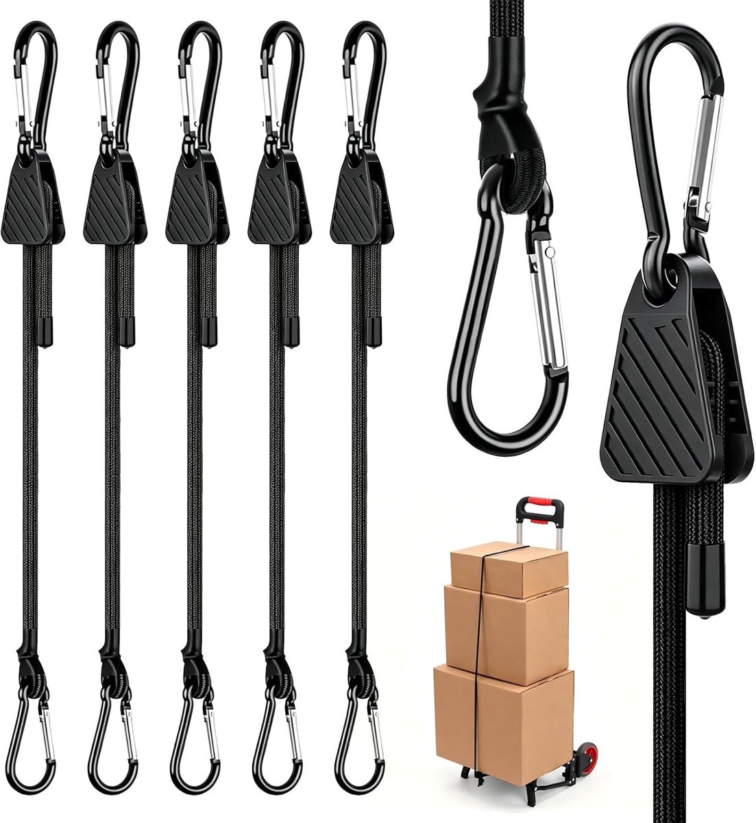 Set van 5 verstelbare spanbanden met karabijnhaak, 30 cm, ideaal voor transport en bevestigen van ladingen
