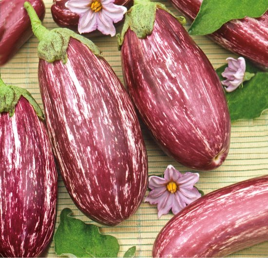 Aubergine Graffiti