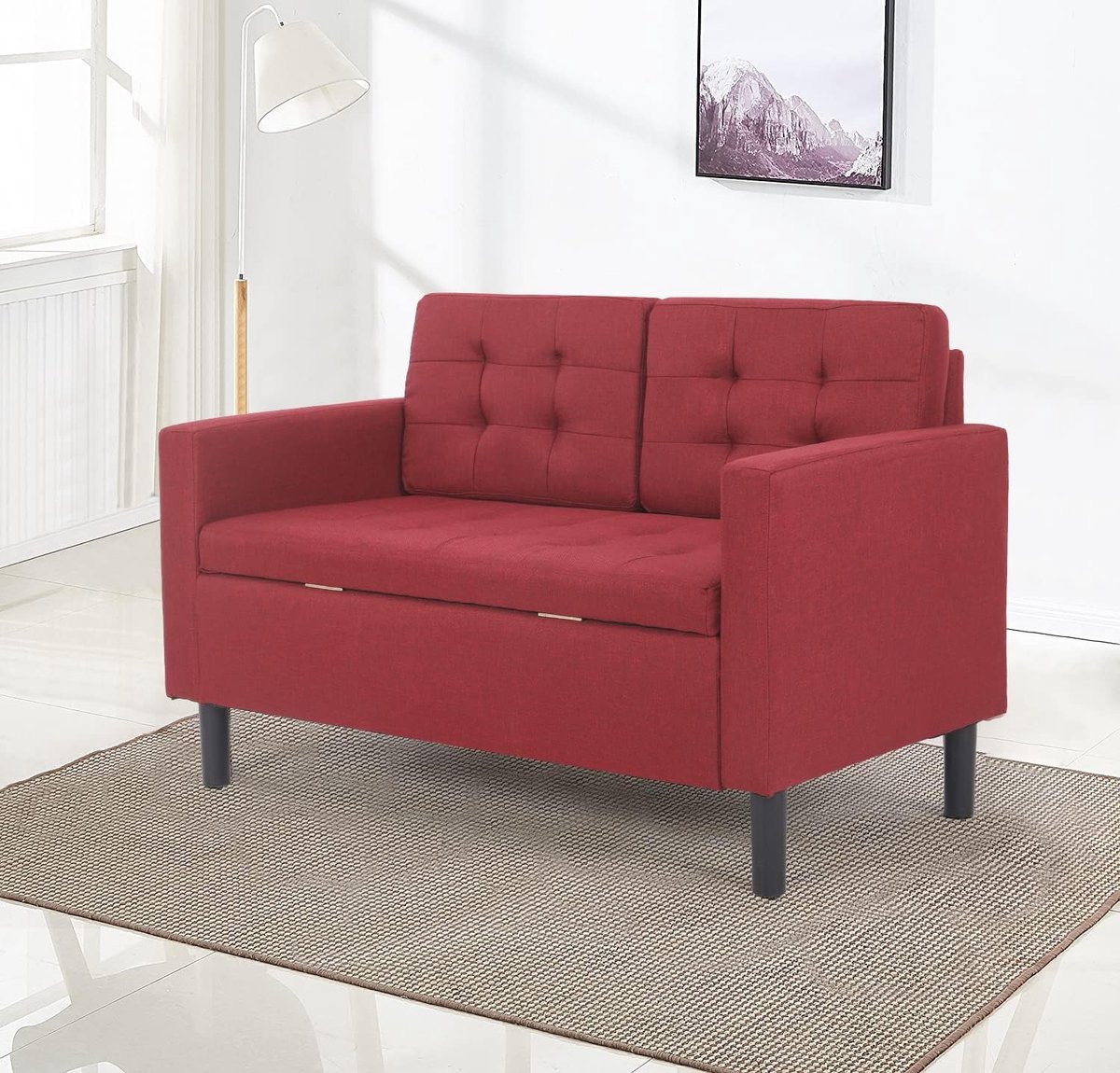 2-zits bank, Zitsbank, sofa, met opbergruimte, 2-zitsbank, Tweezitsbank, Relaxstoel, bank met kussens, voor woonkamer slaapkamer kantoor 118 × 63 × 76 cm (Rood)