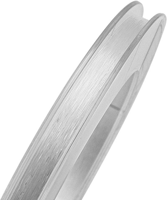 Dailygoods- Vislijn 300 Meter - 0,33 mm Monofilament - Doorzichtige Nylon - Sterk en Duurzaam - Ideaal voor Zeevissen - Lage Zichtbaarheid - Vissnoer van Dailygoods — afbeelding 2