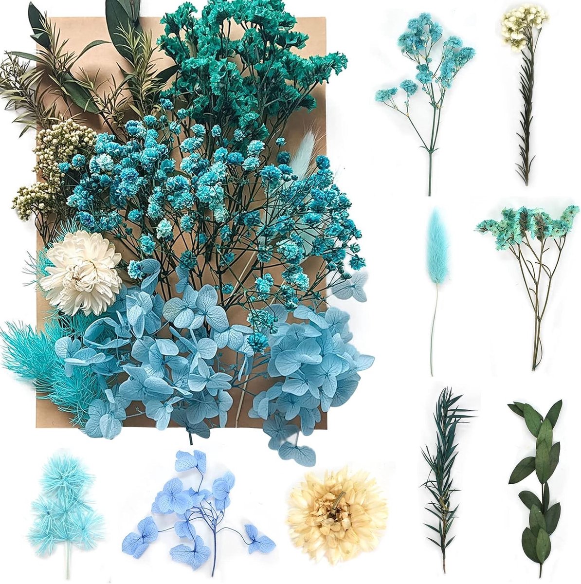 Natuurlijke Gedroogde Bloemen en Bladeren voor Nail Art, DIY Decoratie, Scrapbooking en Ambachten