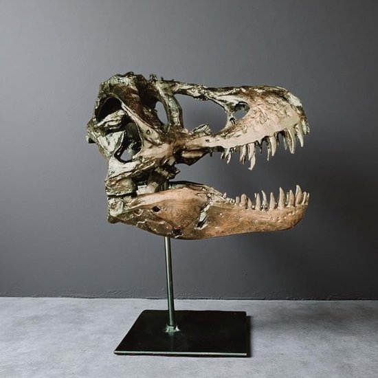 Hars Dinosaurus Schedel Sculptuur, Dinosaurus Tand Schedel Fossiel met Standaard Hoofd Standbeeld Schedel Ornamenten voor Haunted House Thuis Bar Feest Tafeldecoraties, Bruin — afbeelding 5