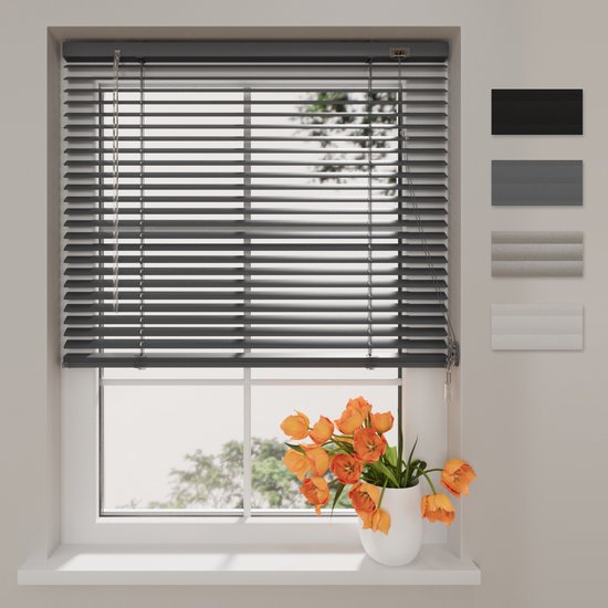 DTCH® Aluminium Jaloezie Easy - 25mm - Anthracite - 160 x 175 cm
