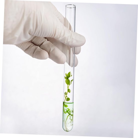 16 Stuks Delige Reageerbuisset van Hoogborosilicaatglas met Inclusief Trechter Reinigingsborstel Lekvrije Opslag voor Monsters Gebruik Bij Experimenten — afbeelding 4