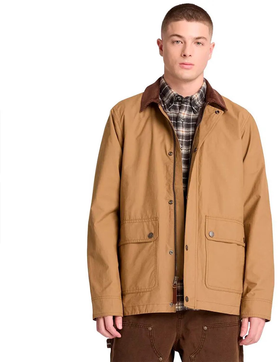 Timberland Dwr Field Jas S Man Ermine