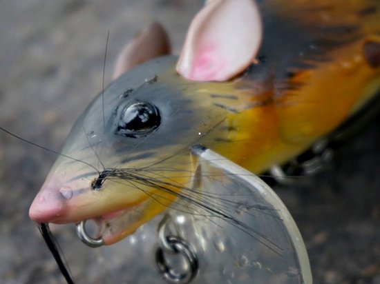Savage Gear 3D Rad Rat Vliegende Kunstaas 30cm 86g Bruin — afbeelding 2
