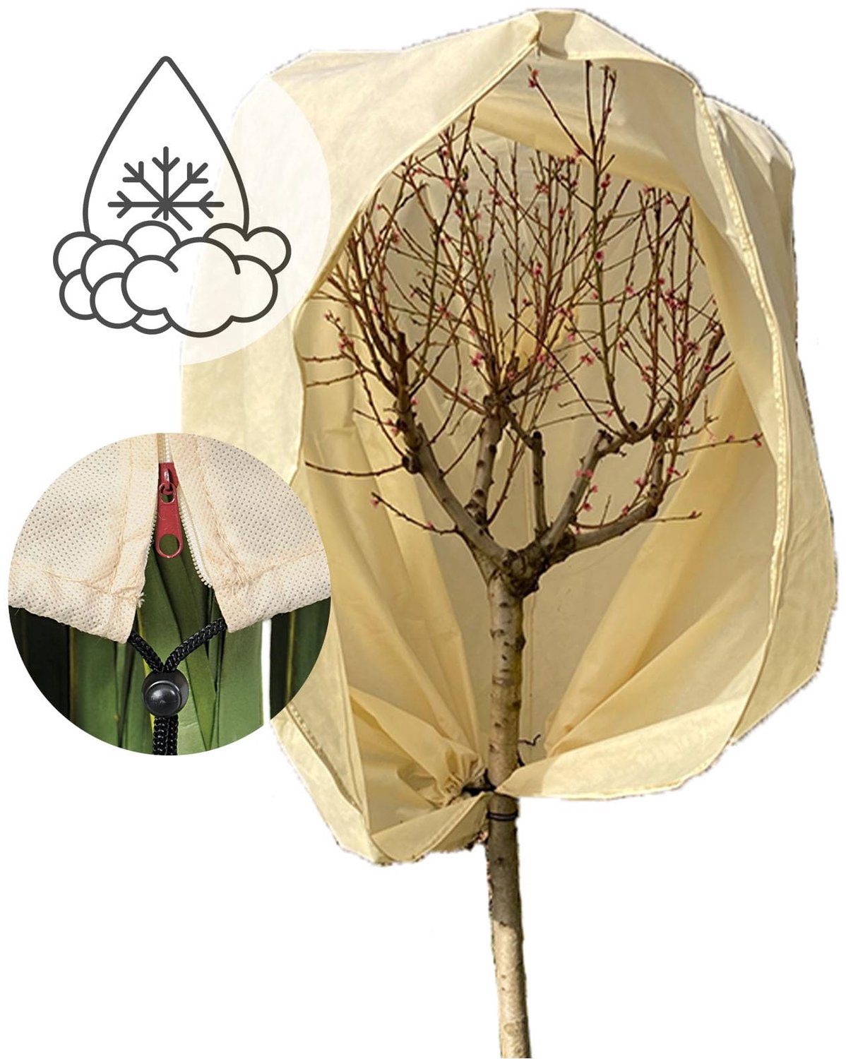 Famanu - Winterkap Premium - Bescherming tegen kou voor planten - Gemaakt van duurzaam polyethyleen - beige 1 stuk