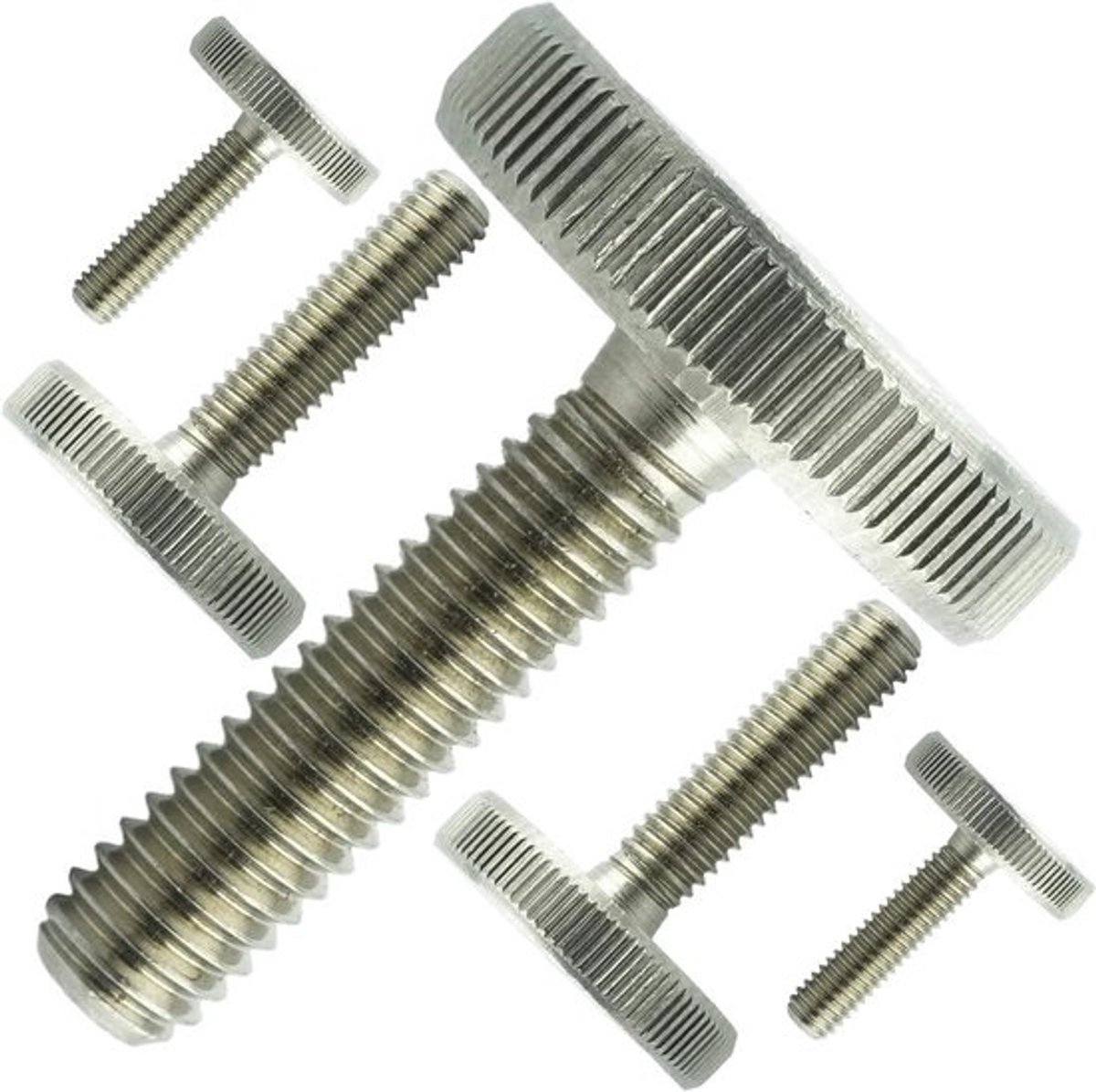 10x Gekartelde Schroeven M6x20mm RVS A1 Laag Model DIN 653