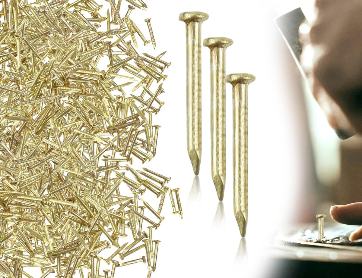 Dailygoods- Wandnagels 100 g - Mini-nagels - Fotospijkers met ronde kop - Doe-het-zelf accessoires - Kunstnagels - 1,2 x 15 mm - Spijkers