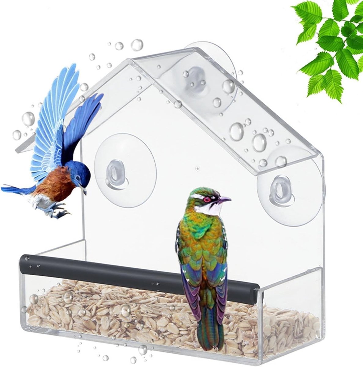 Transparante Vogelvoederhuis met Zuignappen - Ideaal voor Balkon en Raam, Geschikt voor Wilde Vogels, 15 x 15 x 6 cm, Vogelvoeder, Vogelhuisje, Tuinaccessoires