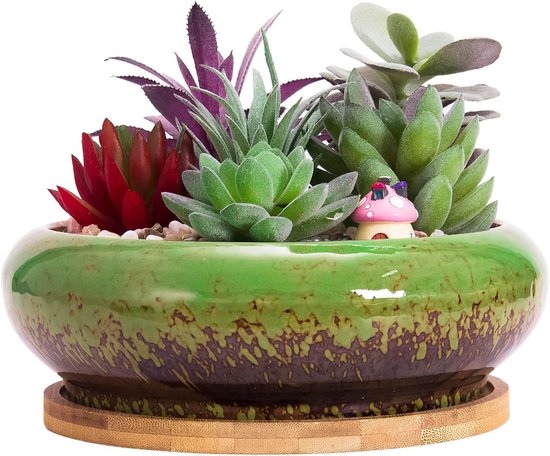Grote Bonsai Pot van 18.5 cm met Schotel, Keramische Pot voor Vetplanten met Afvoergat, Geschikt voor Binnen- en Buitenplanten, Glazuurafwerking in Groen