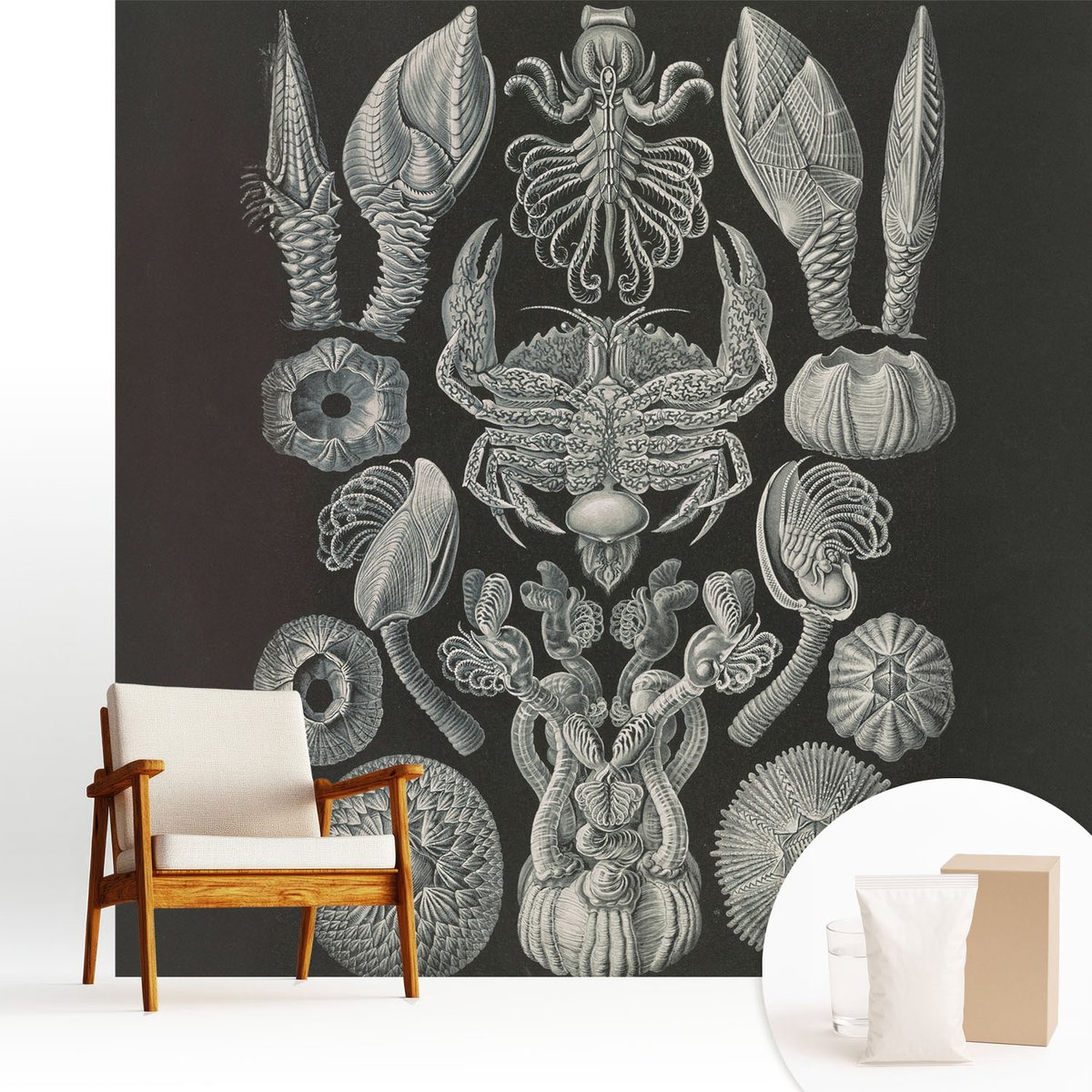 Wallfluent Fotobehang - Zwart Vliesbehang - 250x250 cm - Onderwatervormen Muurschildering - Slaapkamer behang Abstractie - Fotobehang Vlies - Gang behang