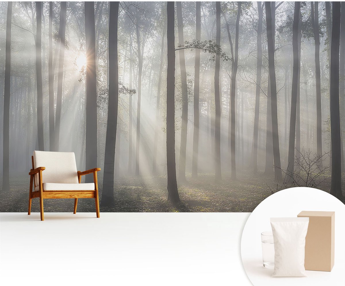 Wallfluent Fotobehang - Grijs Vliesbehang - 416x254 cm - Etherisch Woud Fotobehang Vlies - Woonkamer behang Landschappen - Muurschildering - Woonkamer behang