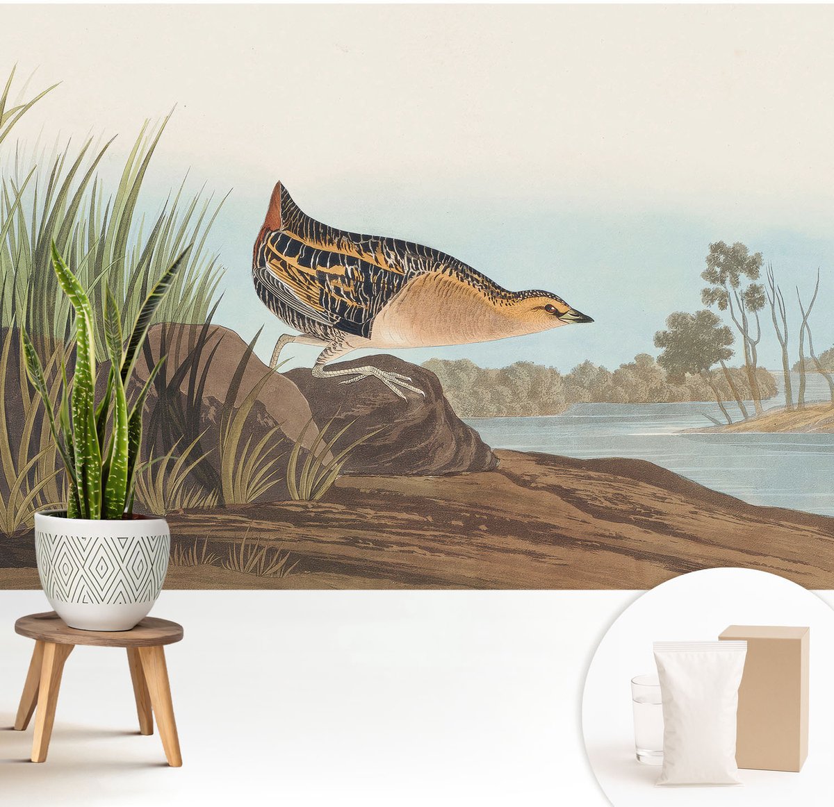 Wallfluent Fotobehang - Groente Vliesbehang - 208x146 cm - Natuurlijke Scène Muurschildering - Gang behang Dieren - Fotobehang Vlies - Slaapkamer behang