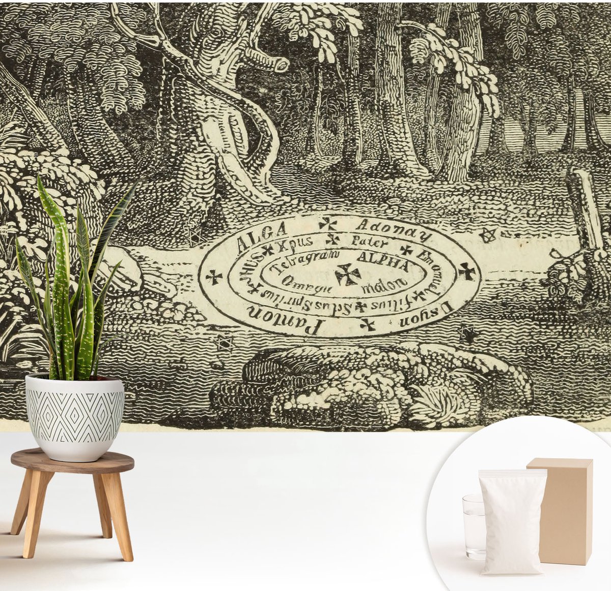 Wallfluent Fotobehang - Zwart-Wit Vliesbehang - 208x146 cm - Magische Cirkel Muurschildering - Gang behang Bloemen En Planten - Fotobehang Vlies - Slaapkamer behang