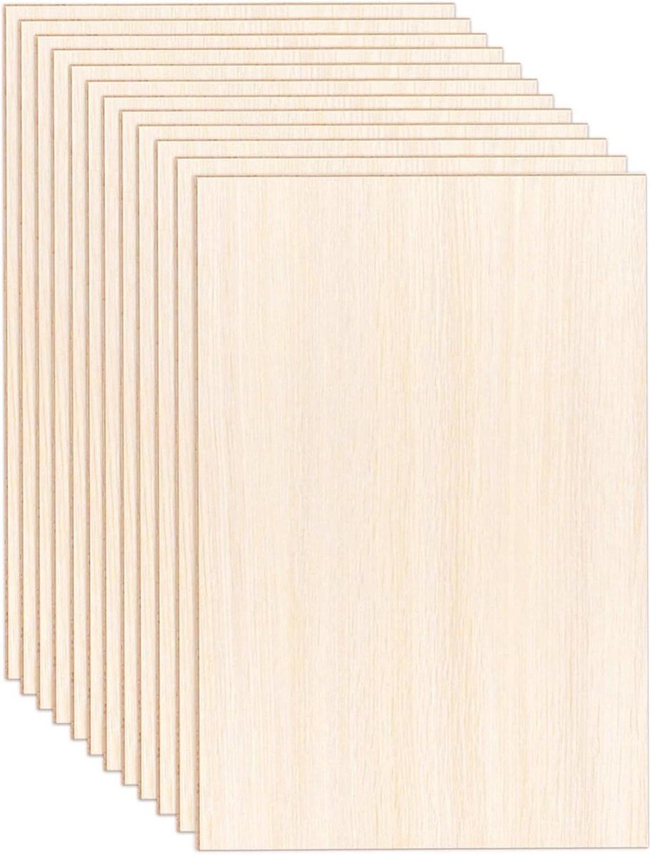 Plywood platen 300 x 200 mm - Linden multiplex - 12 stuks - Perfect voor creatieve projecten - ShopVlot