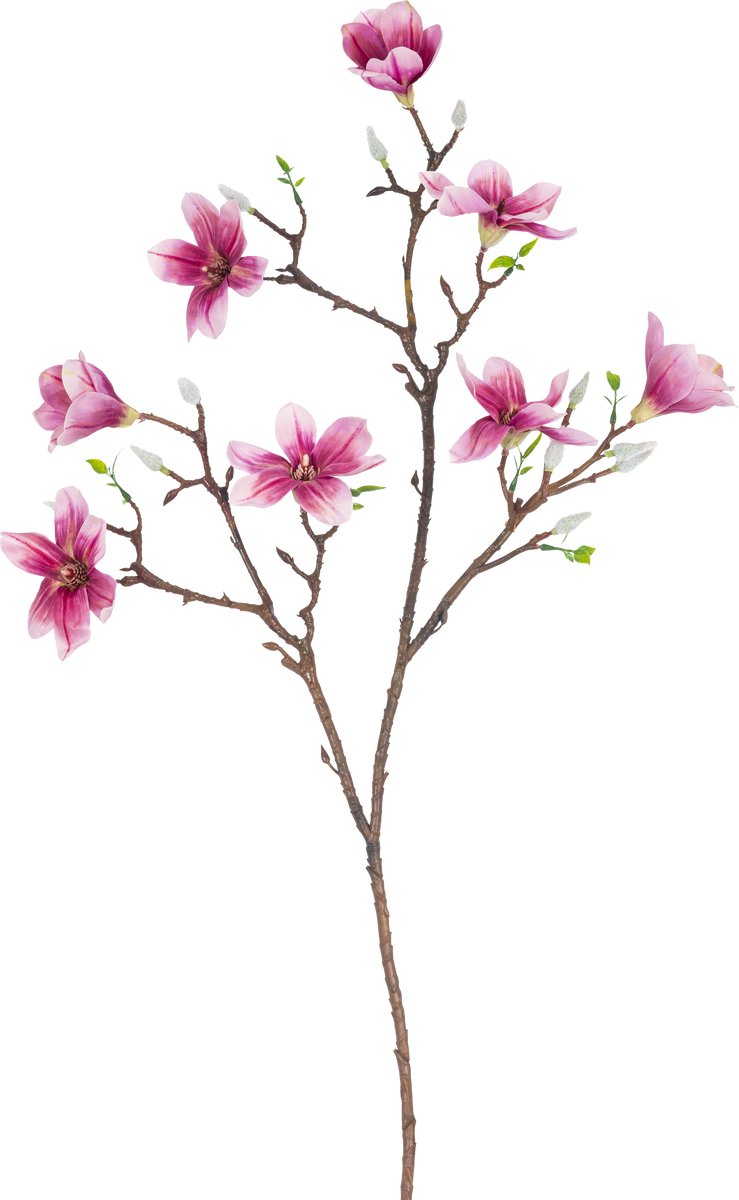 Easyplants | Kunsttak Magnolia kleinbloemig 89 cm roze | Zijde | Nepbloemen | roze | Onderhoudsvrij | Kant-en-klaar