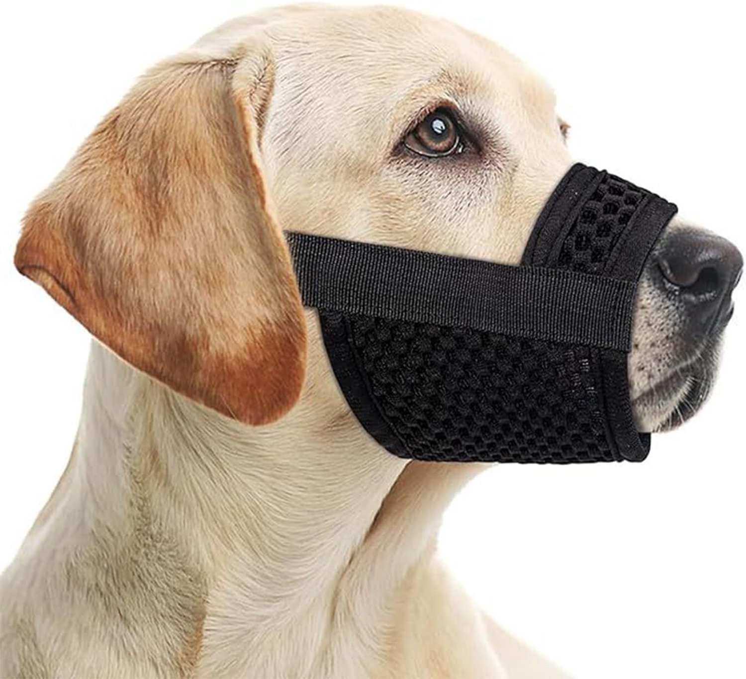 Verstelbare Muilkorf voor Honden, Ademend en Veilig, Maat M