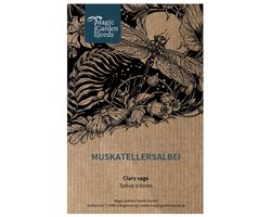 Scharley/Muscat Salie Zaden (Salvia sclarea) - 100 Stuks