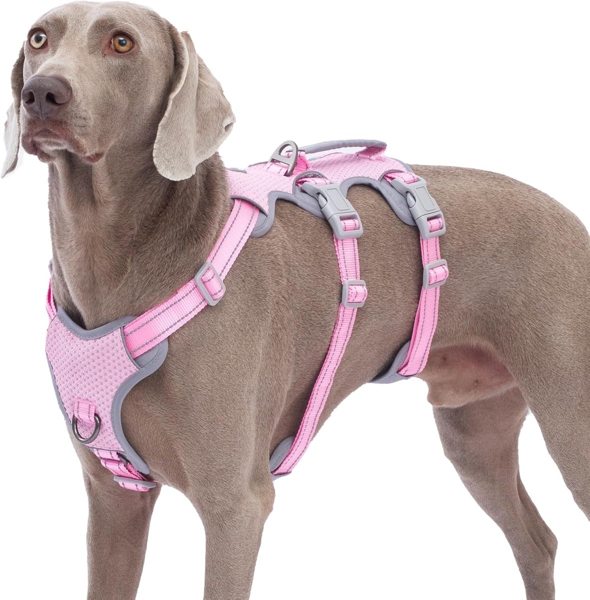 Escape Proof Harness, Geen Slip Hondenharnas Escape Proof, Volledig Reflecterend Harnas met Handvat, Ademend, Verstelbaar Vest voor Middelgrote Honden Wandelen, Running Gear (Roze,L)