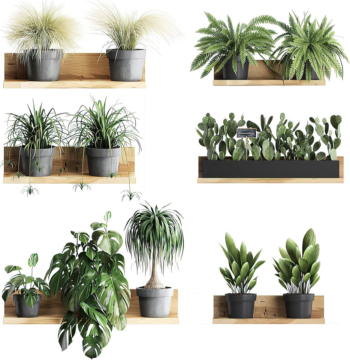 Muurstickers, verwijderbare PVC bonsai wanddecoratie, creatieve planten muursticker voor slaapkamer, woonkamer en kinderkamer