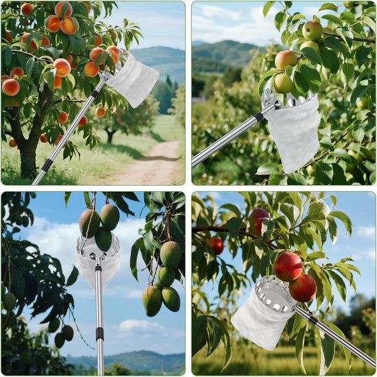 Fruitplukker met steel - Appelplukker Kersenplukker - Fruit Oogsten - Uitschuifbare steel - 2.8 meter - Zilver — afbeelding 5