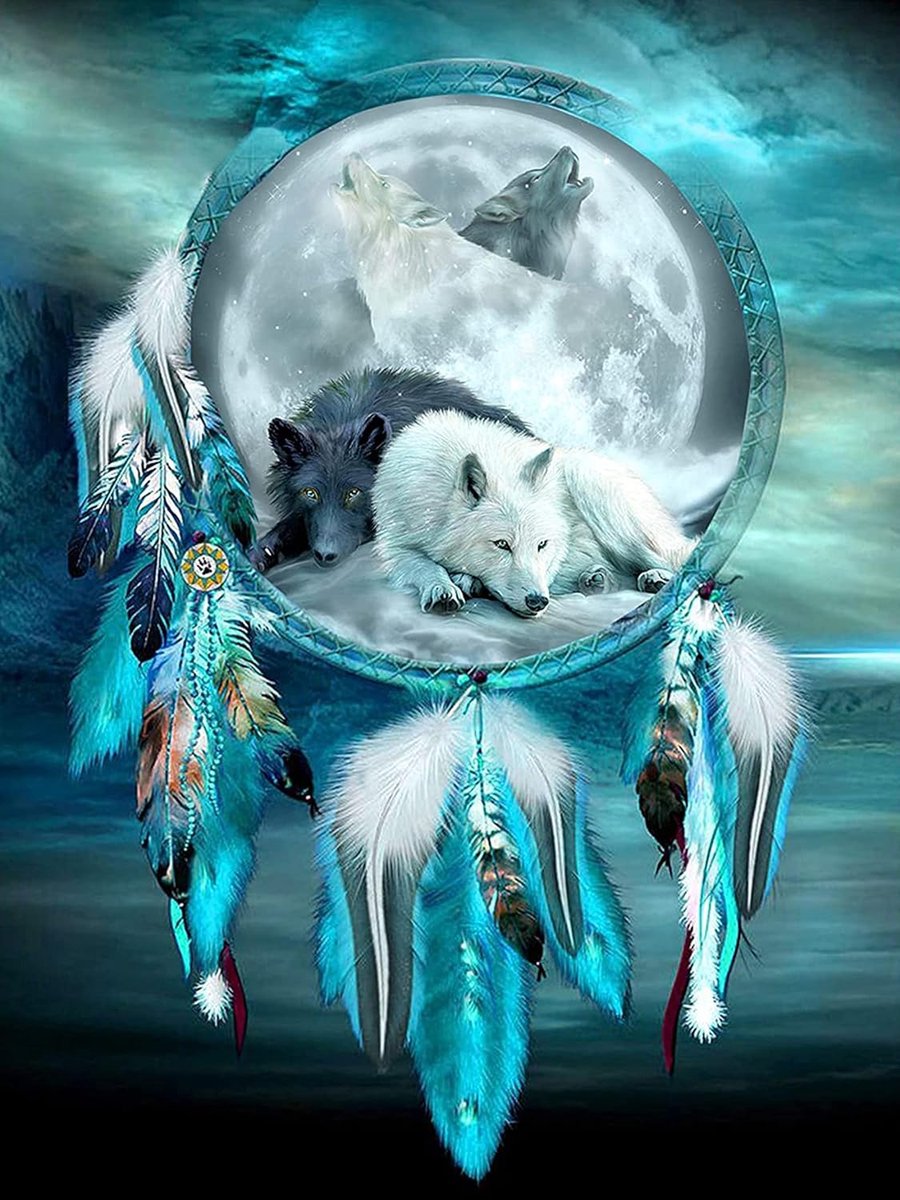 5D Diamond Painting Kits Volledige boor, Wolf en Dream Catcher DIY Diamond Art Kits voor Volwassenen Kids (Wolf 3)