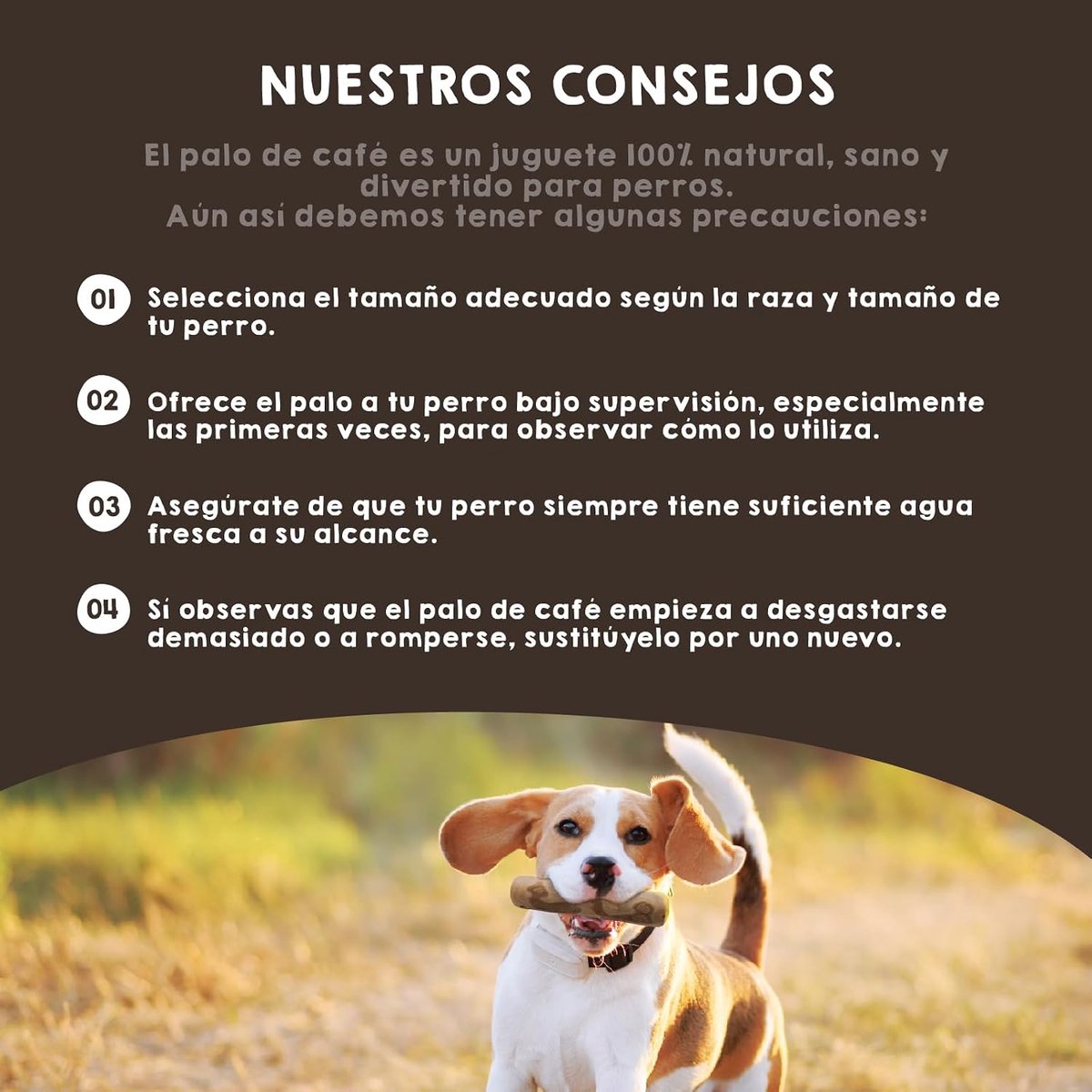 SnelShoppen - MAIKAI Natuurlijk Houten Kauwbot voor Honden - Duurzaam Puppy Speelgoed - Alternatief voor Bot - Verwijdert Tandplak - Set van 2 - Veili