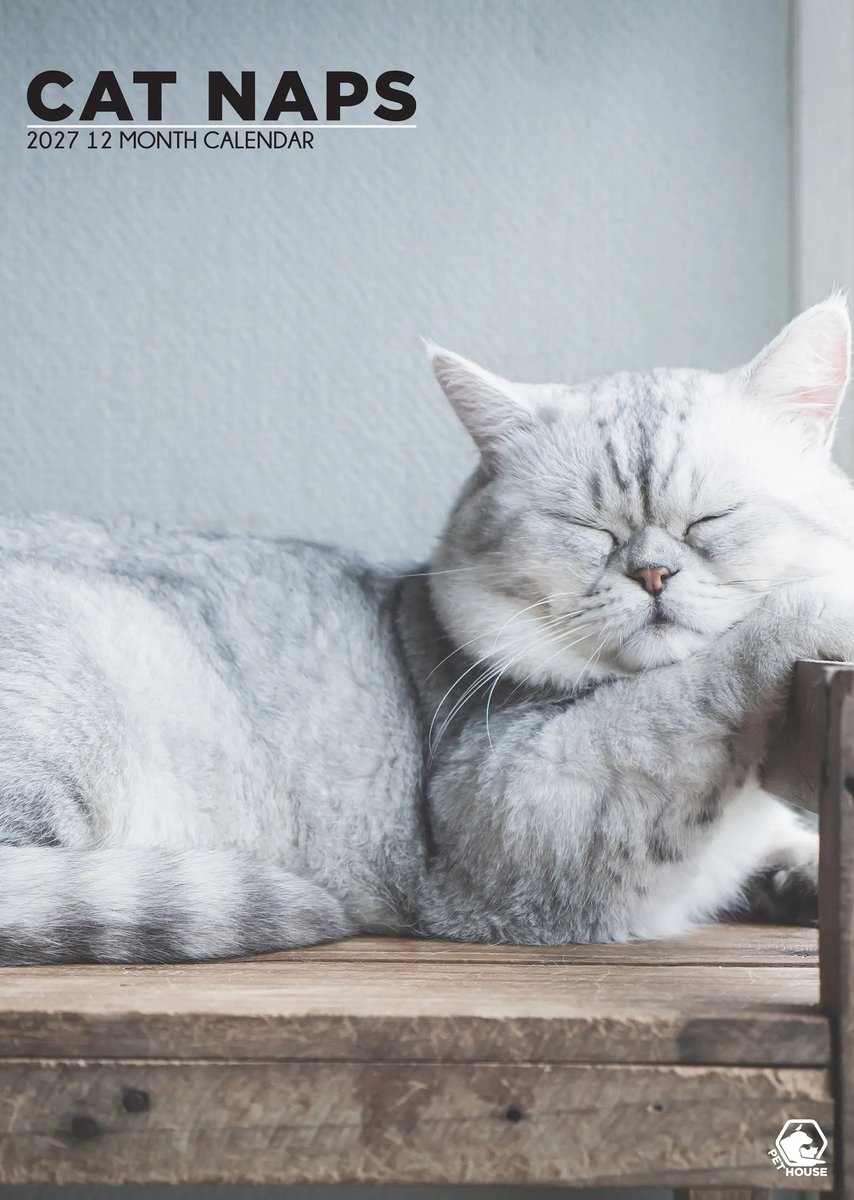 Cat Naps A3 Kalendar 2027