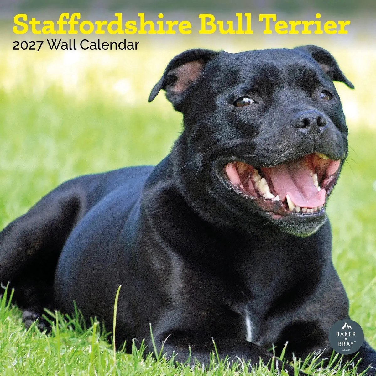 Staffordshire Bull Terrier Kalender 2027