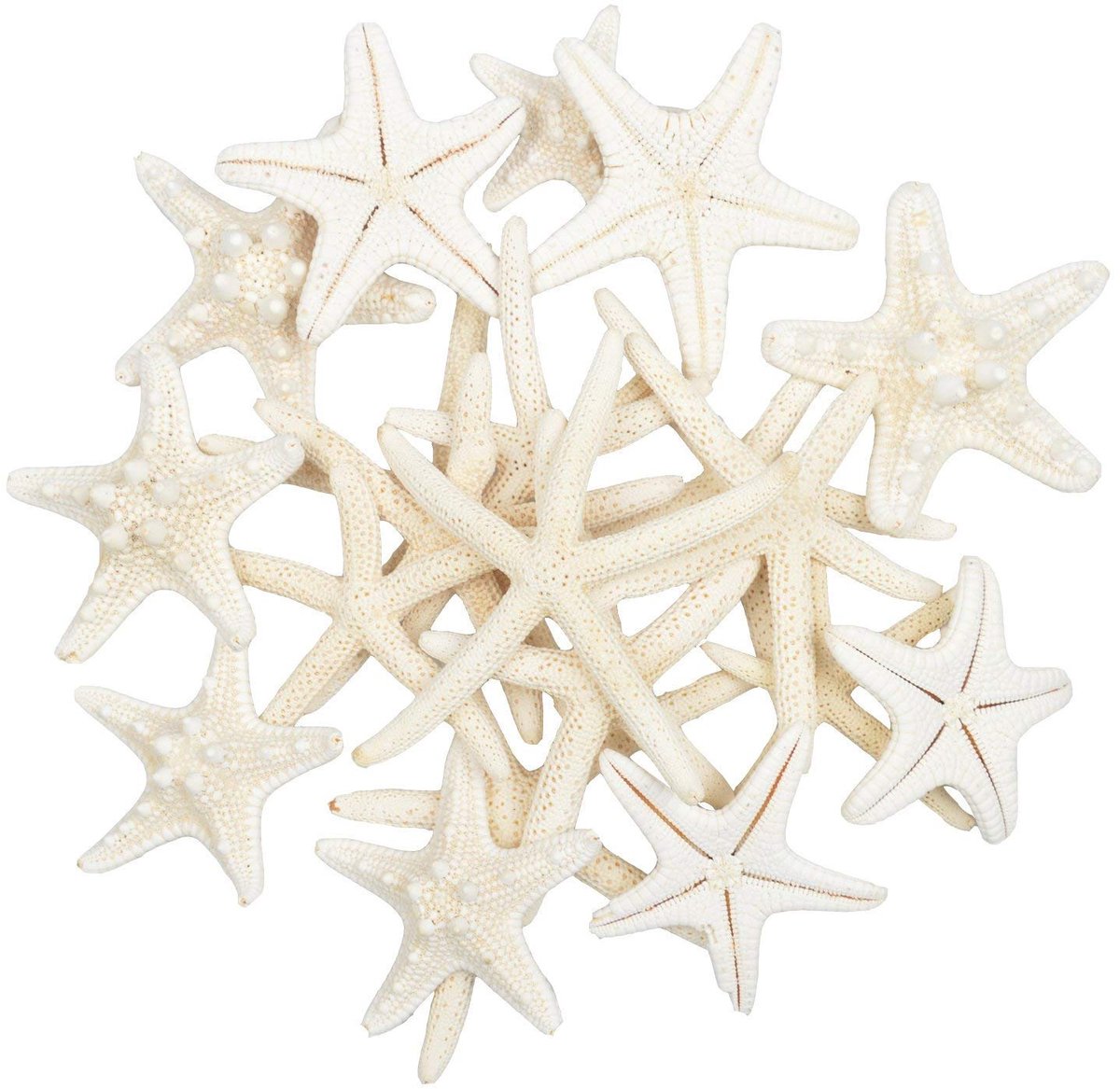 Yixuan LLC 20Pcs Zeester Gemengd Oceaan Beach Strand Natuurlijke Zeester Echte Zeester Schelpen Zeesterren Perfect - ShopVlot