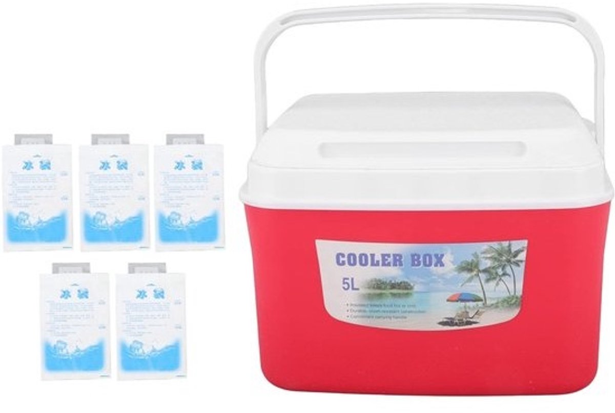 Dailygoods- Koelbox 5L - Draagbare Koelbox - Geïsoleerde Koelbox - Koelbox voor Voedsel - Handvat - Constant Temperatuur