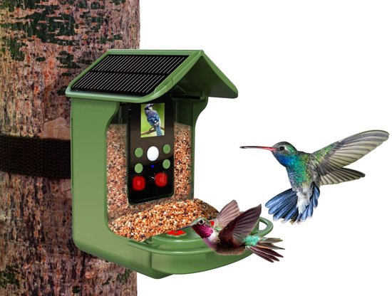 Groen vogelvoederhuisje met zonnepaneel, scherm met blauwe vogel, voerbak vol met zaad, twee kolibries.
