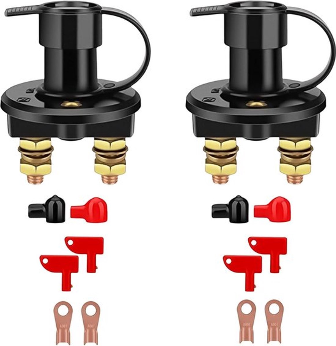 Hoofdschakelaar batterij snel uitschakelen - Set van 2 - 12 V/24 V - 2-polig - Power kill-schakelaar - Voertuig boot - Natokbott sleutel .