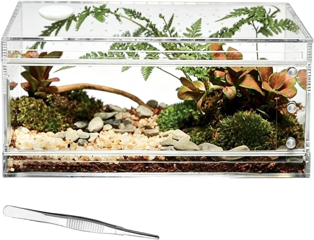 Terrarium Voor Spinnen - Hagedissenverblijf Reptielenbak - Huisdier Huisvesting - 360 Graden Zicht - 10.2x20.3x10.2cm - Transparant