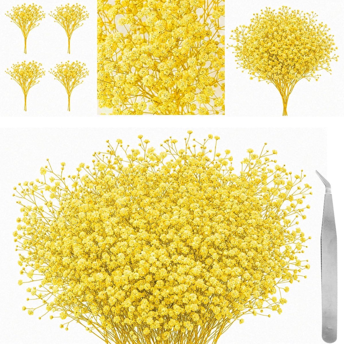 Omgoods - 60 Stuks Gedroogde Gypsophila Bloemen voor Creatieve Projecten