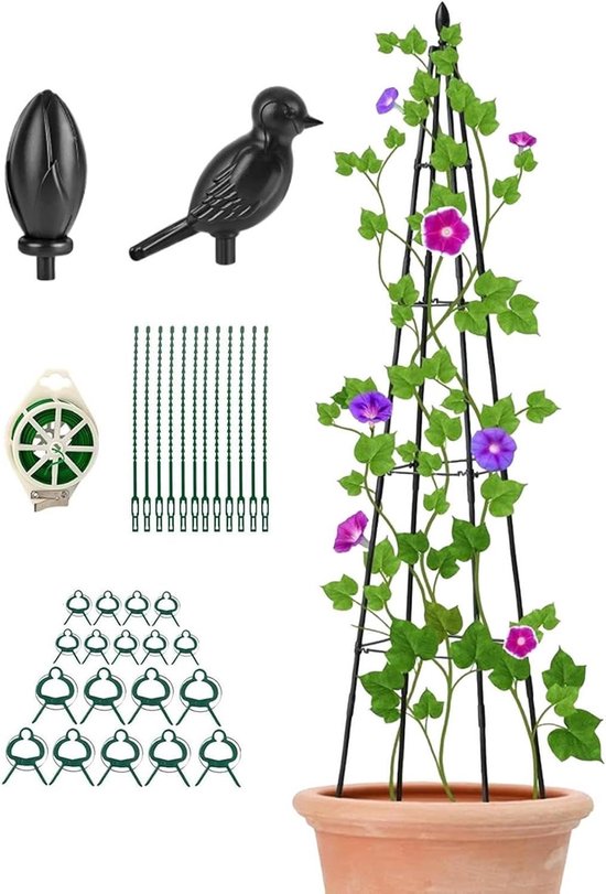 Plantenrek Klimplanten - Klimplantsteun Tuin - Planten Ondersteunen - In Hoogte Verstelbaar - 160 cm - Zwart