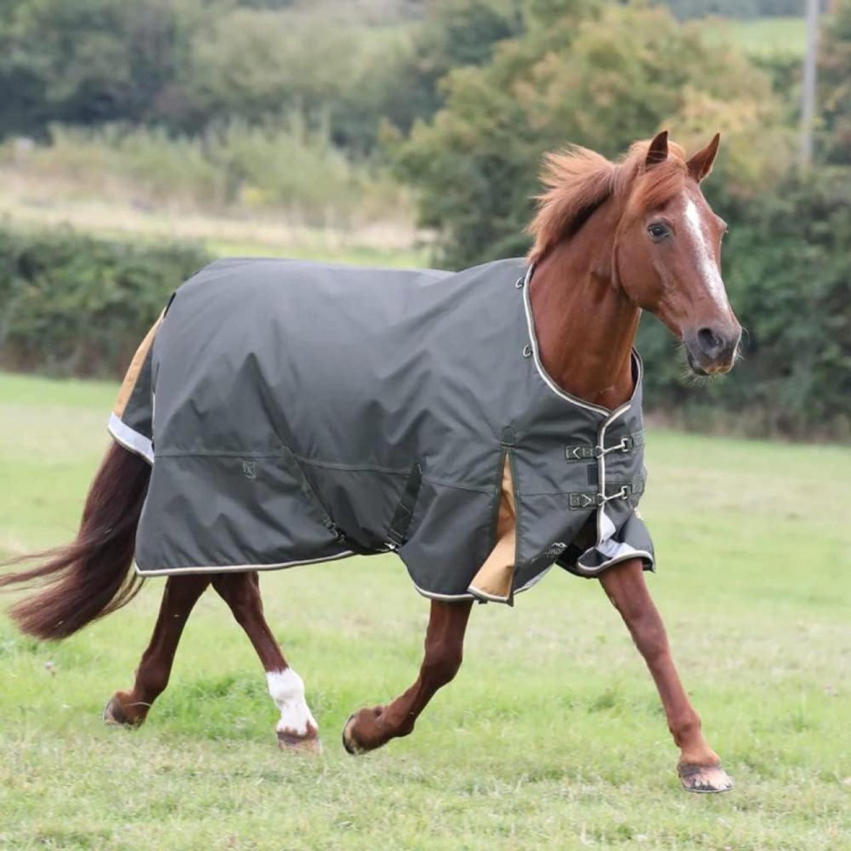 Paardendeken - Paardenturnout deken - Bescherming paard - Waterdicht ademend - 5'9''/69'' - Groen